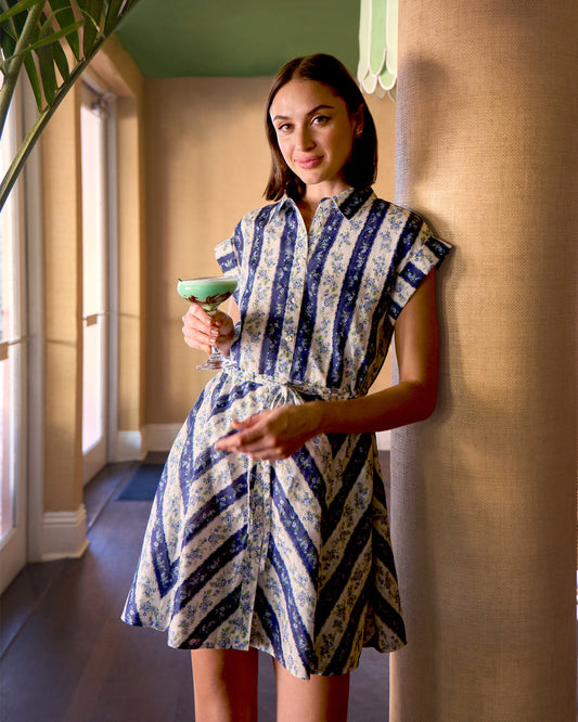 Phoebe Dress in Floral Stripe Multistripe - Draper James