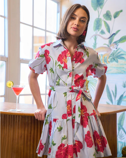 Cecily Mini Shirtdress Blue Multi - Draper James