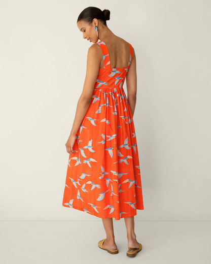 Esme Midi Dress in Parrot Print Multicolor - Draper James