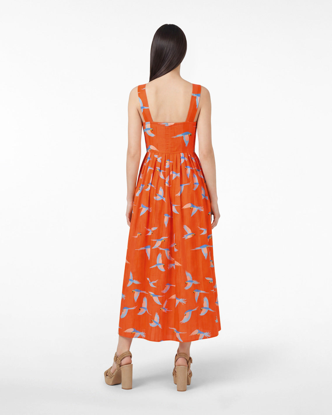 Esme Midi Dress in Parrot Print Multicolor - Draper James