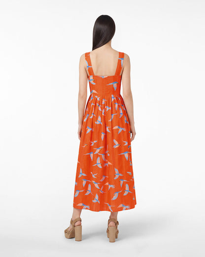 Esme Midi Dress in Parrot Print Multicolor - Draper James