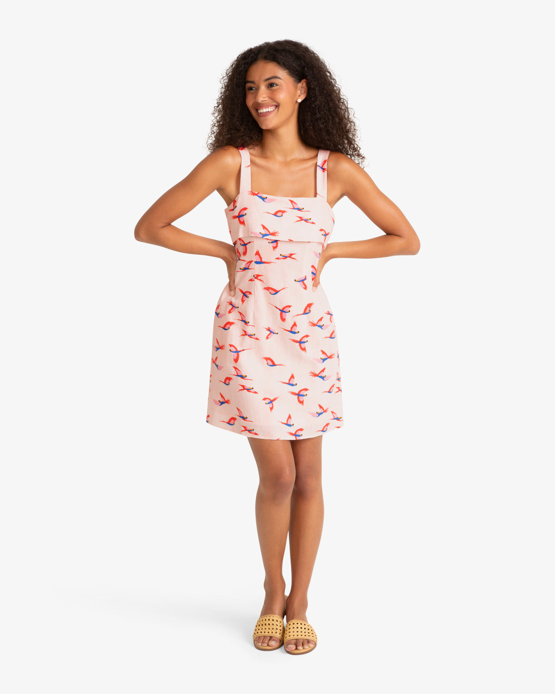 Isla Mini Dress Pink Multi - Draper James