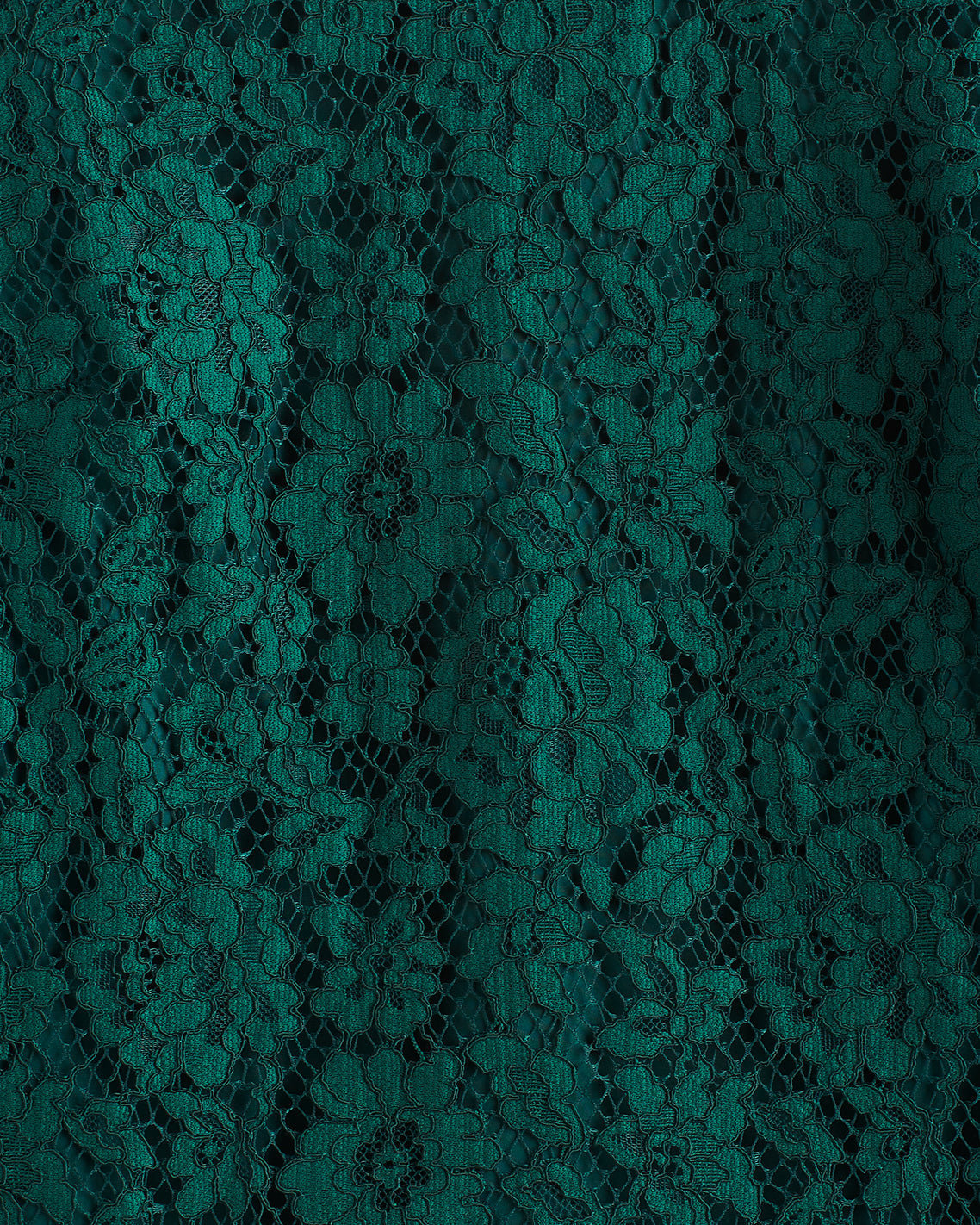 Lace Pants | Women's Dressy Pants by Draper James Evergreen - Draper James