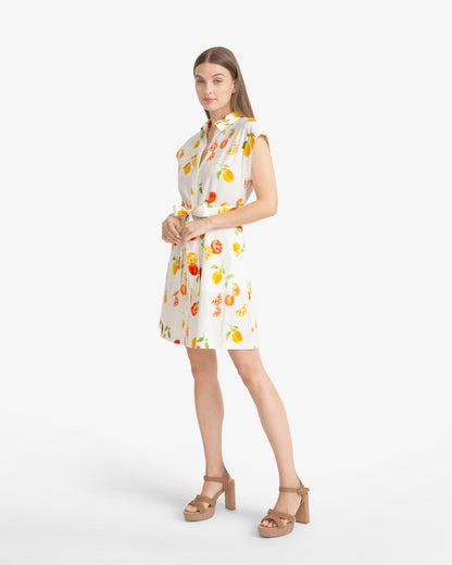 Trisha Citrus Print Dress Magnolia White Multi - Draper James