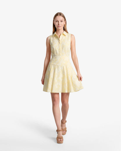 Brighton Mini Collared Dress in Striped Fil Coupe Yellow - Draper James