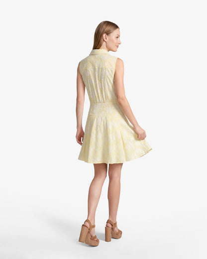 Brighton Mini Collared Dress in Striped Fil Coupe Yellow - Draper James