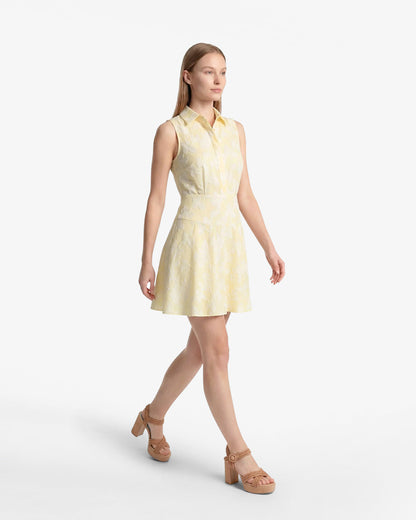 Brighton Mini Collared Dress in Striped Fil Coupe Yellow - Draper James