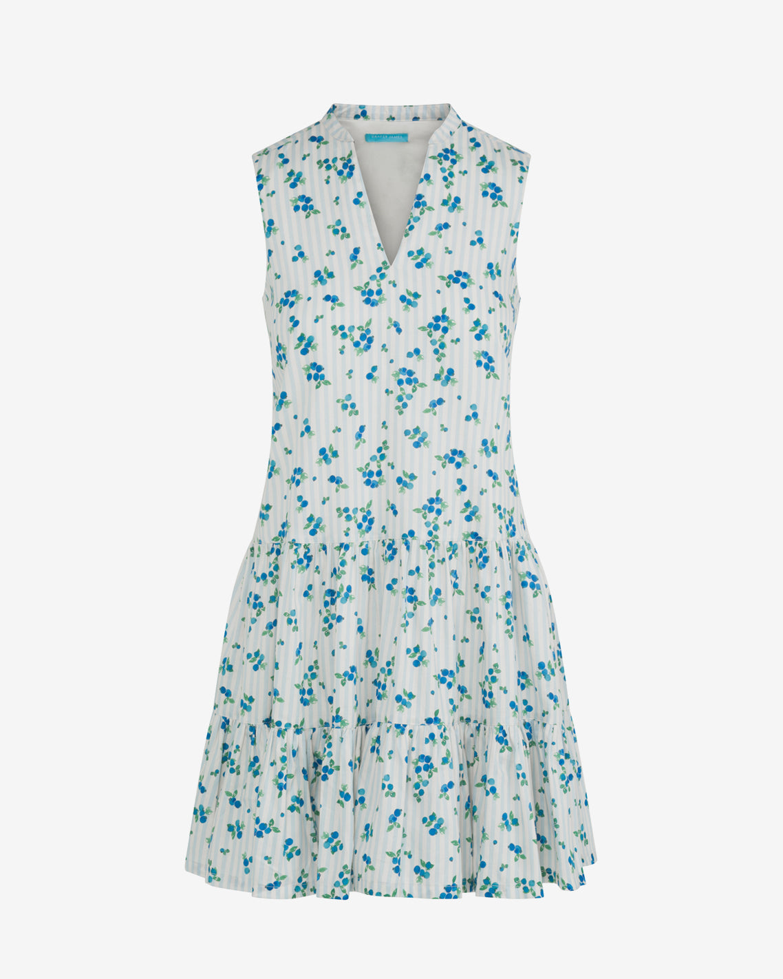 Alma Dress | Women's Southern Style Dresses by Draper James Blue Multi - Draper James