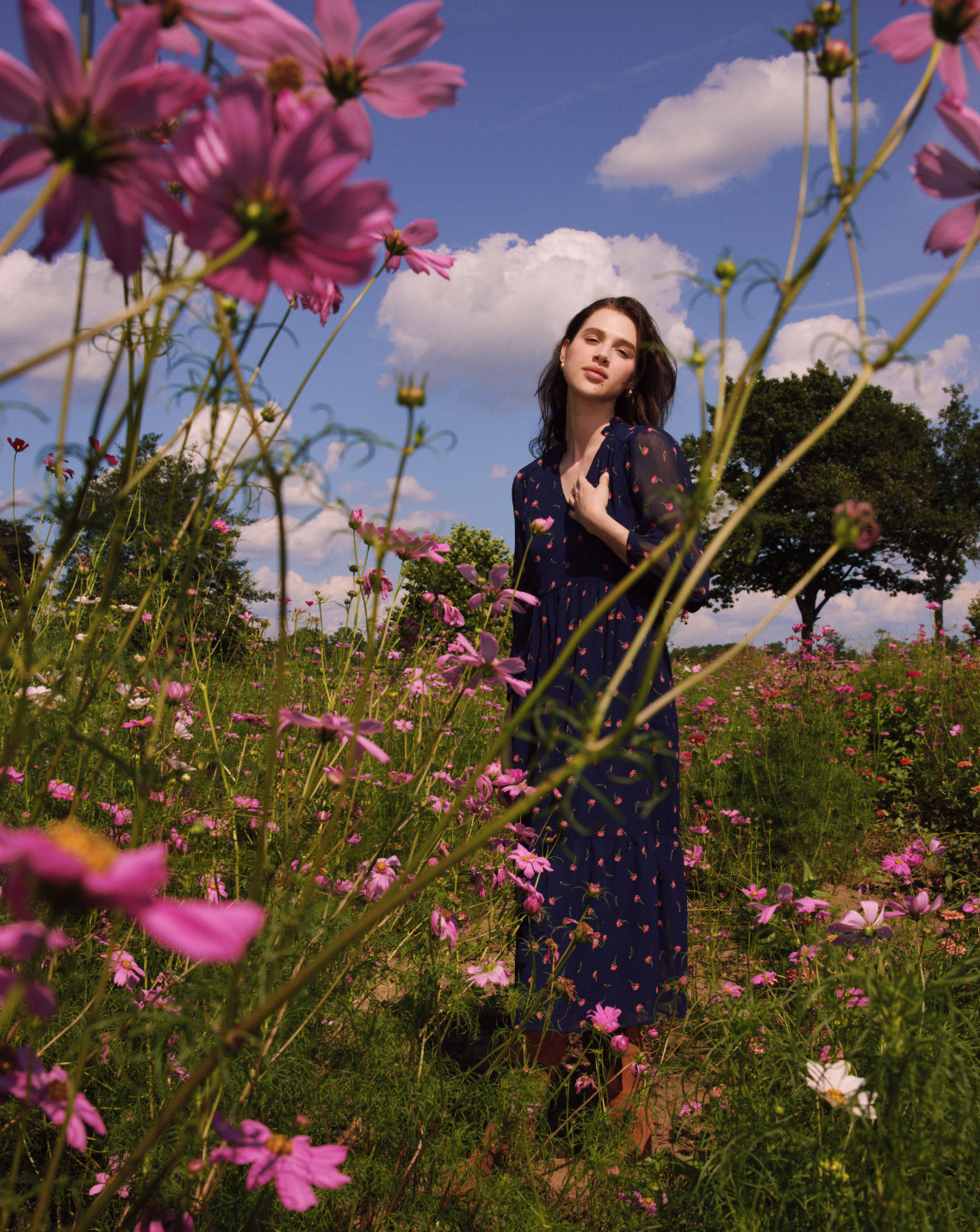 Katie Midi Dress in Ditsy Autumn Flowers Ditsy Autumn Flowers - Draper James