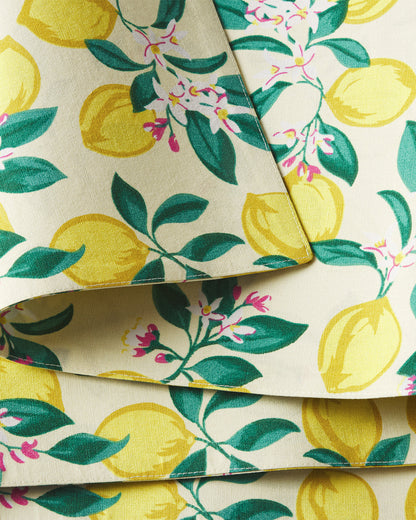 Lemon Blossom Reversible Placemat Set Multicolor - Draper James