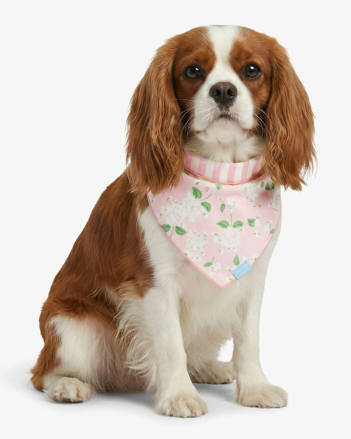 Pink Reversible Hydrangea Bandana Pink - Draper James