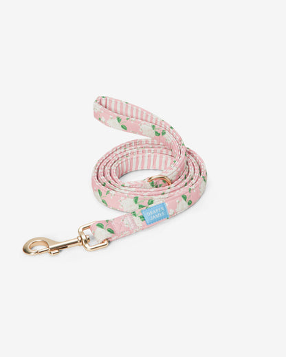 Pink Hydrangea Print Leash Pink - Draper James