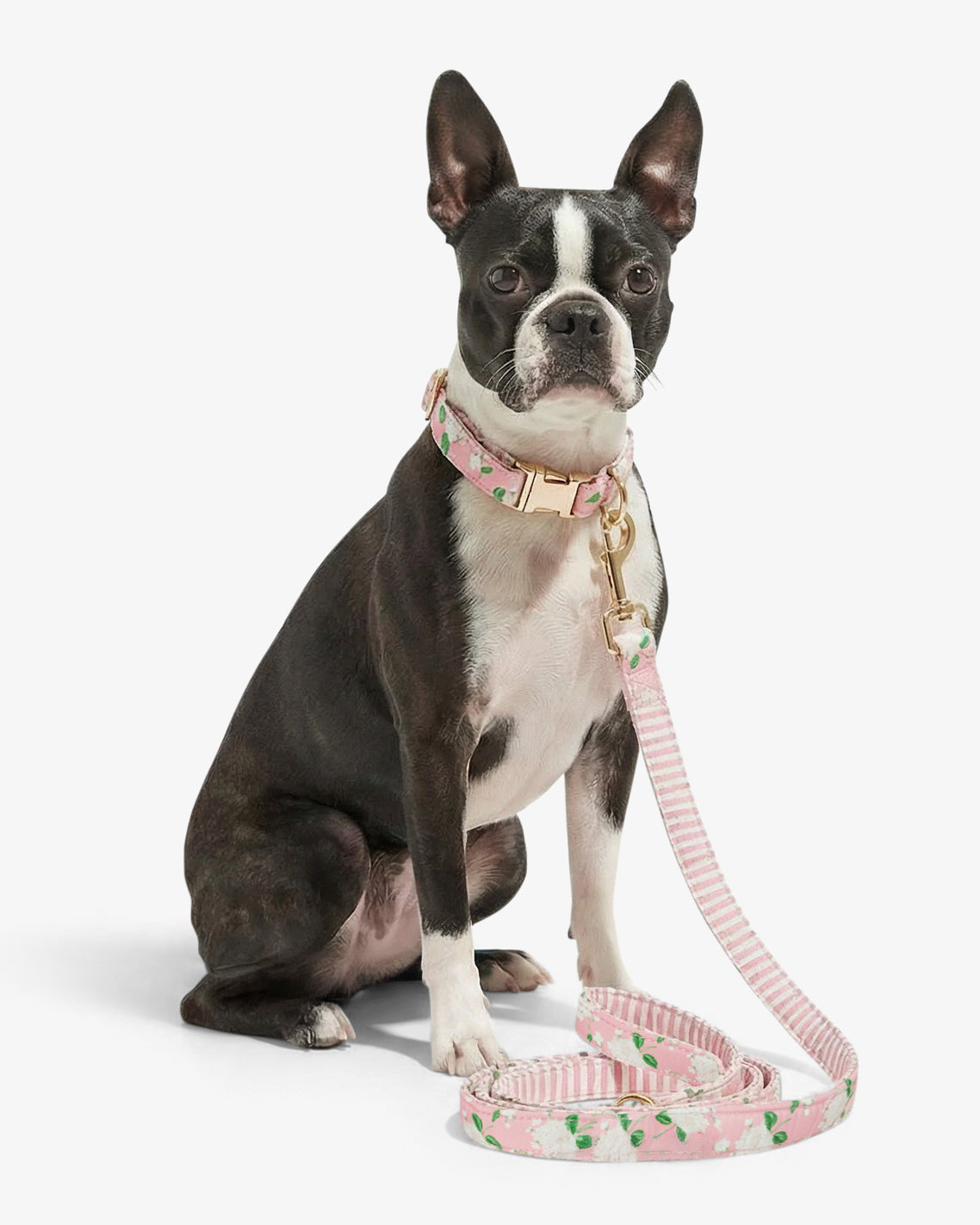 Pink Hydrangea Print Leash Pink - Draper James