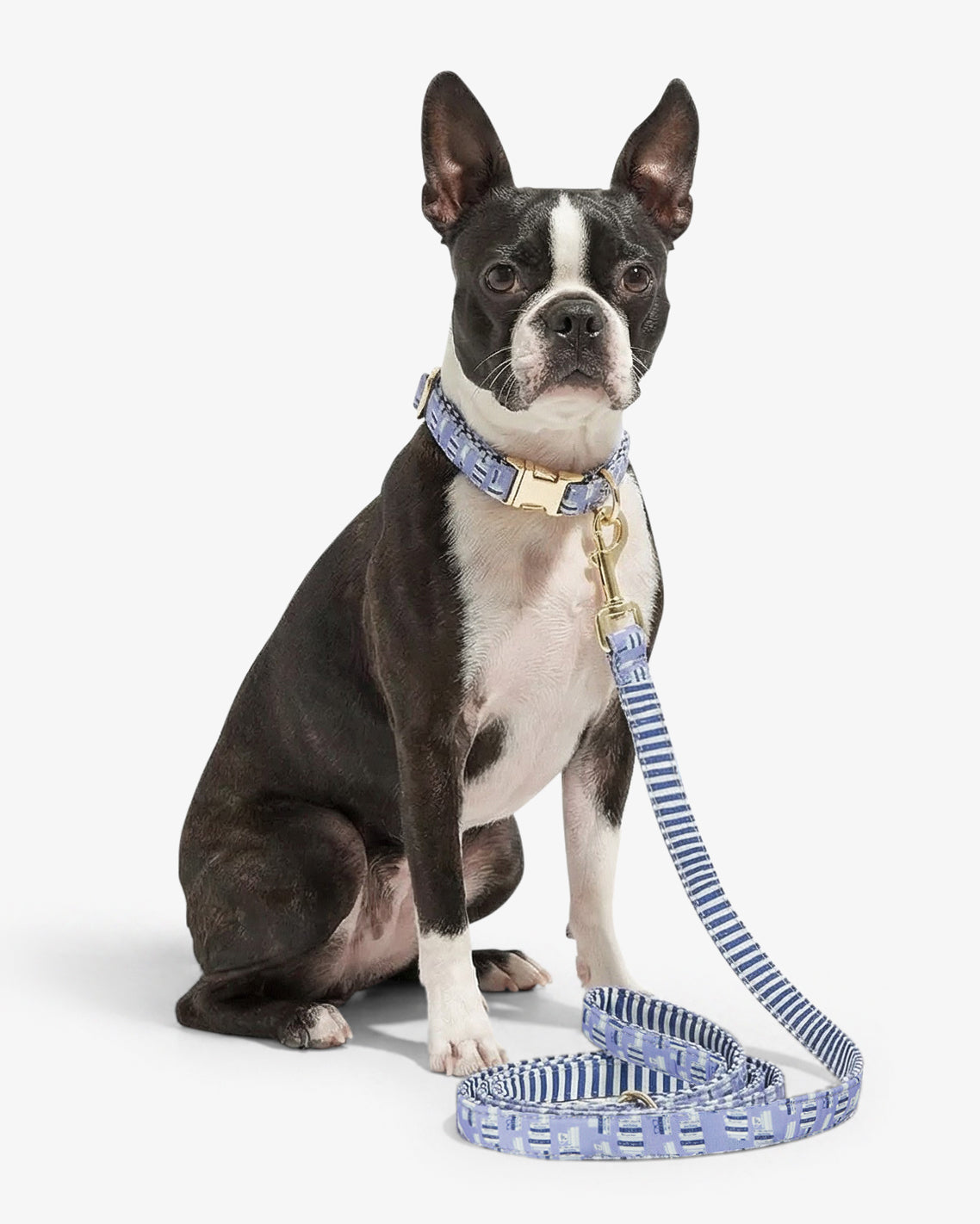 Blue Book Print Leash Blue Multi - Draper James