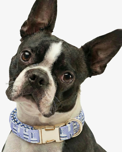 Blue Book Print Collar Blue Multi - Draper James