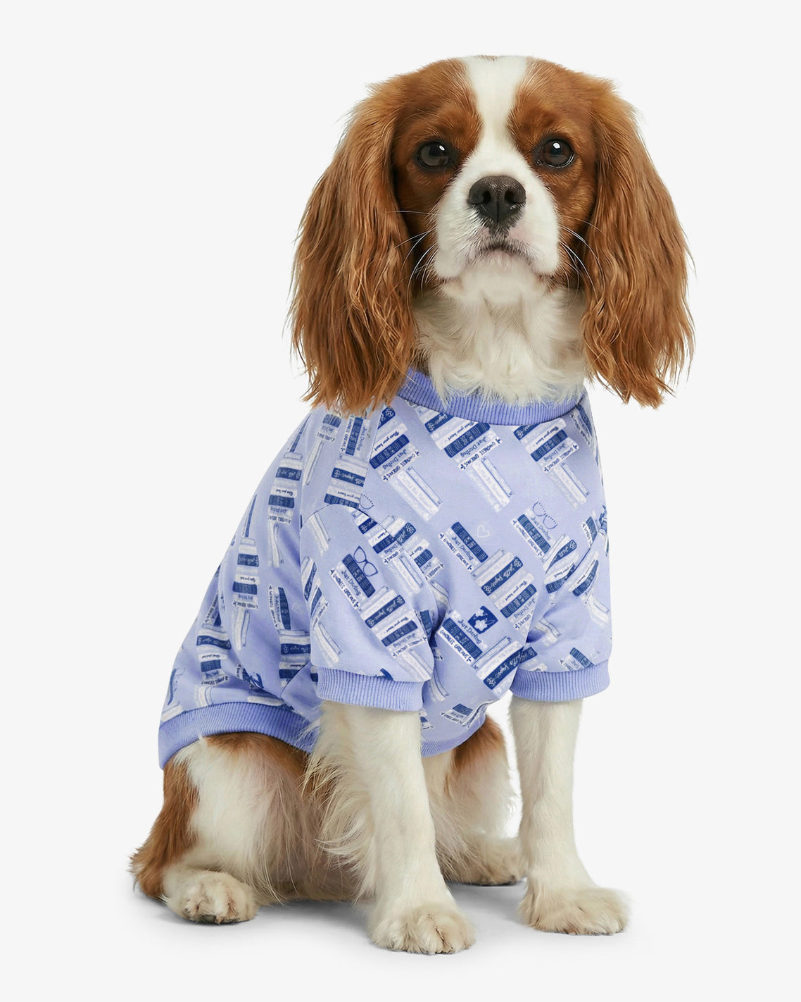Blue Book Print Sweatshirt Blue Multi - Draper James