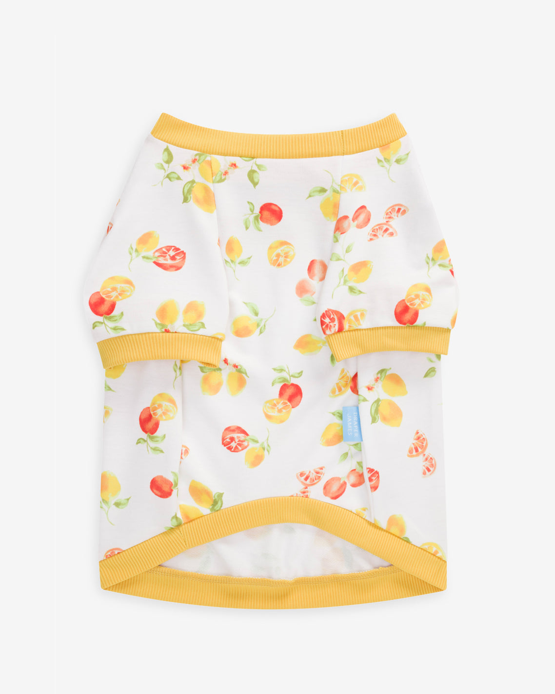 White Watercolor Citrus Sweatshirt Magnolia White Multi - Draper James