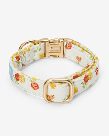 White Watercolor Citrus Collar Magnolia White Multi - Draper James
