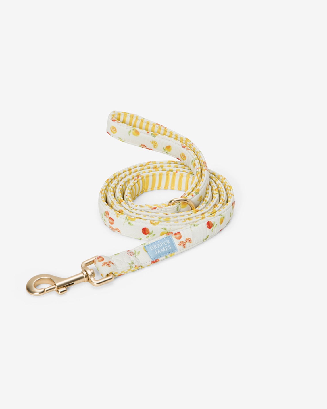 White Watercolor Citrus Leash Magnolia White Multi - Draper James