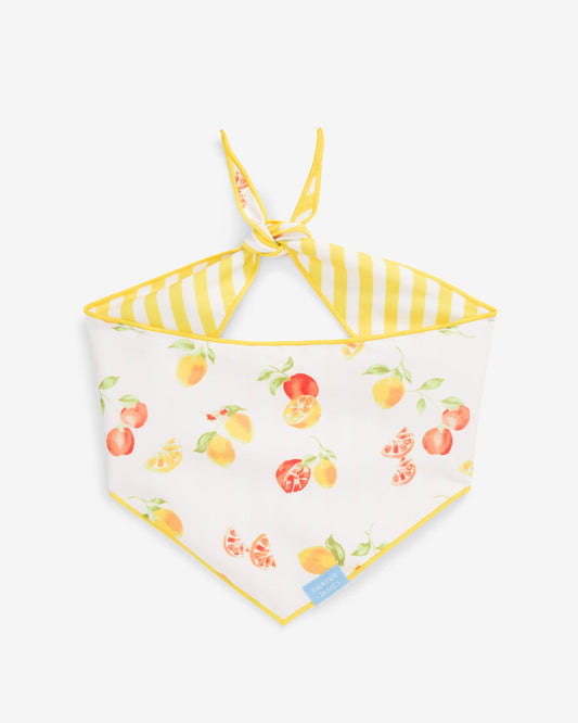 Yellow Reversible Citrus Bandana Yellow - Draper James