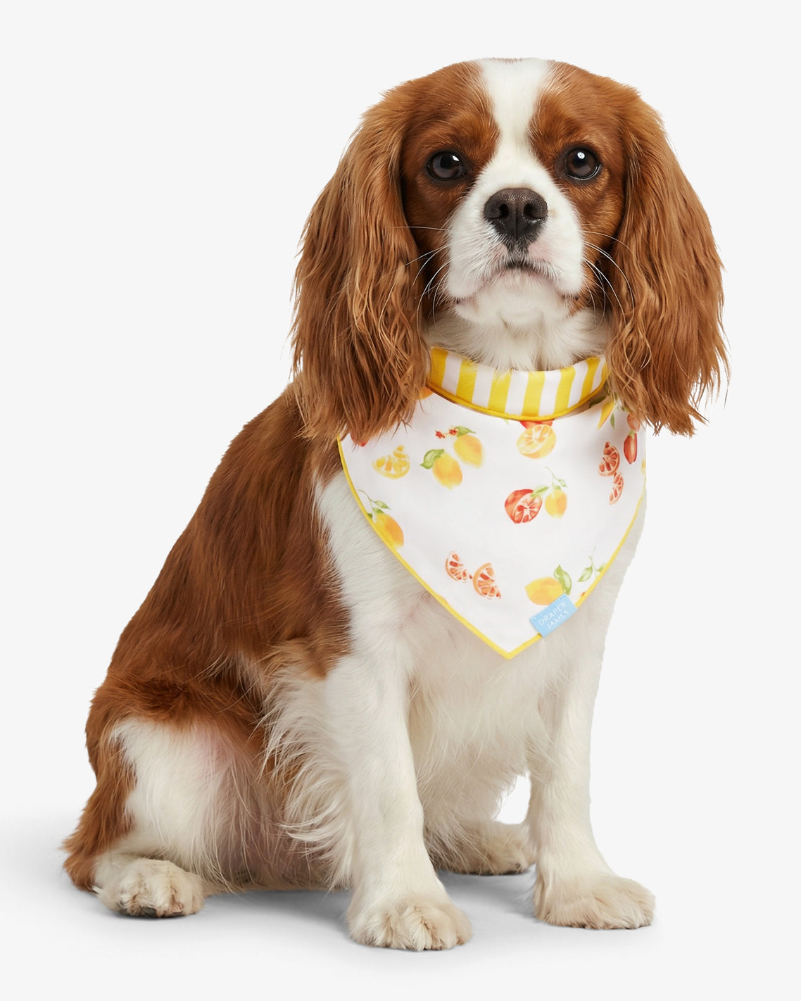 Yellow Reversible Citrus Bandana Yellow - Draper James