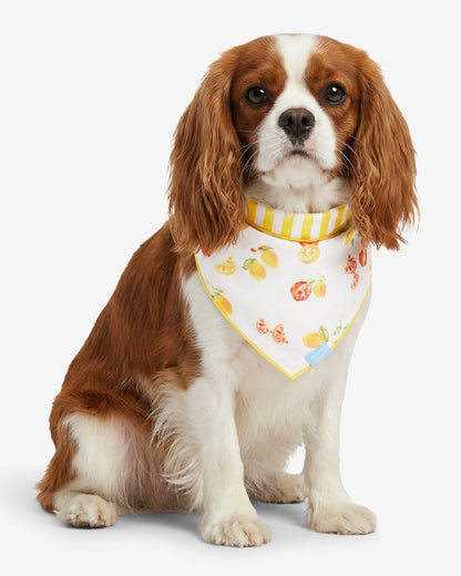 Yellow Reversible Citrus Bandana Yellow - Draper James