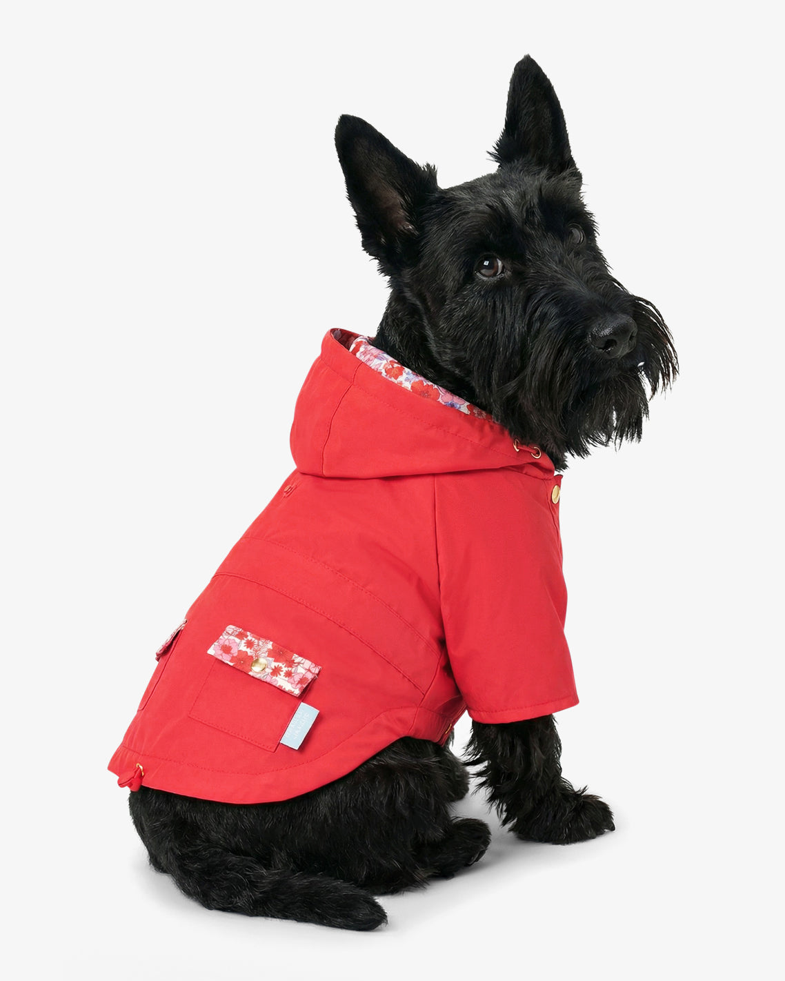 Red Hooded Pocket Jacket Red - Draper James