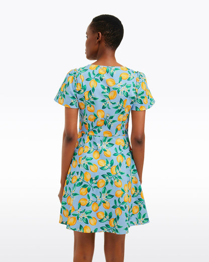 Mae Love Circle Dress in Lemon Blossom Lemon Blossom - Draper James